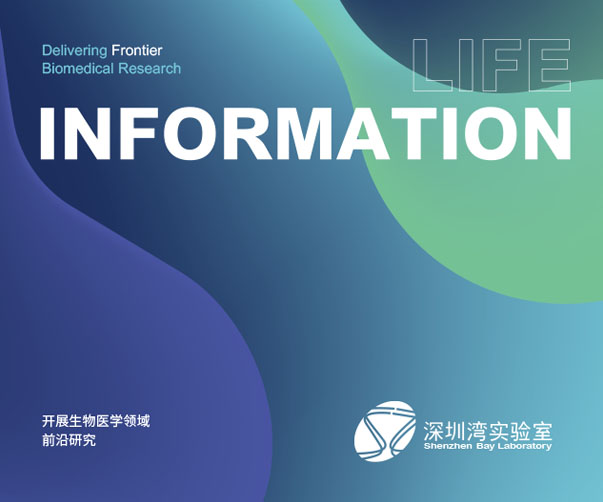 襯裙巷市場品牌重塑：上海VI設計公司傳統(tǒng)與現(xiàn)代的完美融合